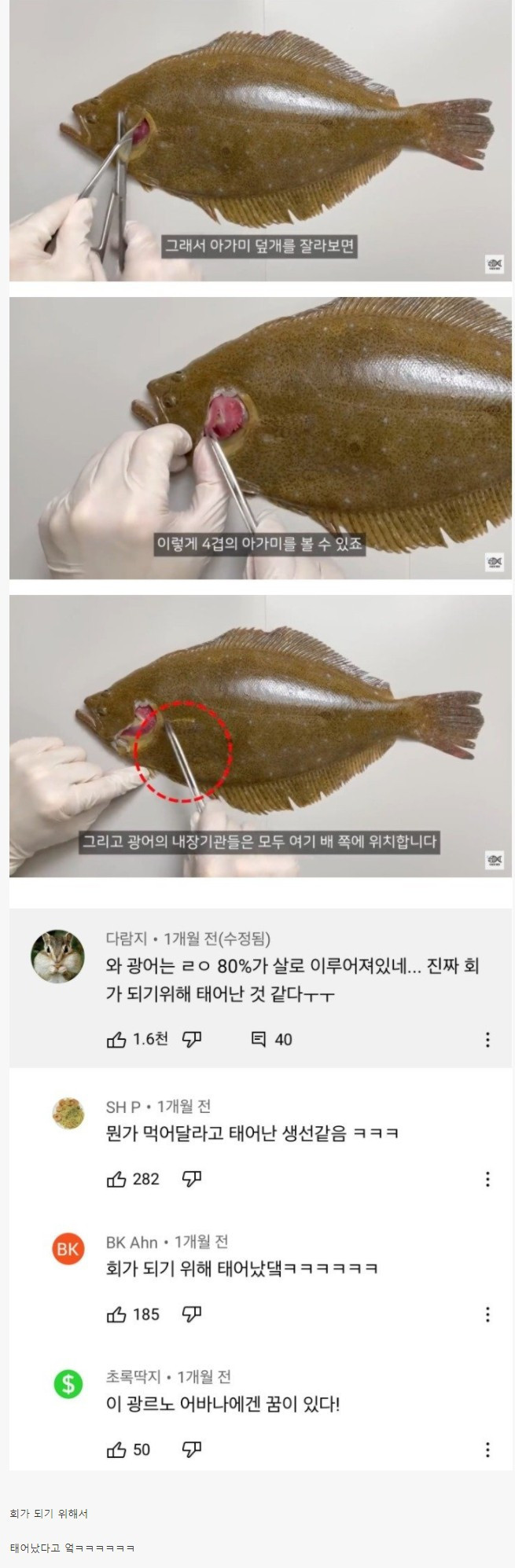 군침 싹 도는 광어의 존재 이유