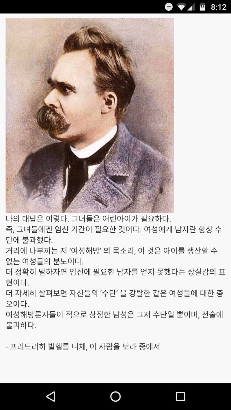 니체의 위대한 페미실체 파악