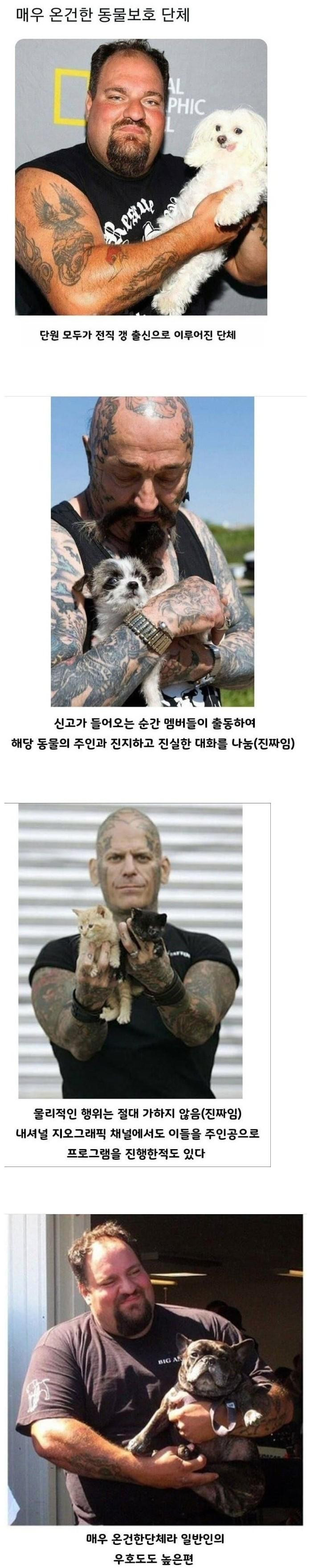 매우 온건한 동물 보호단체