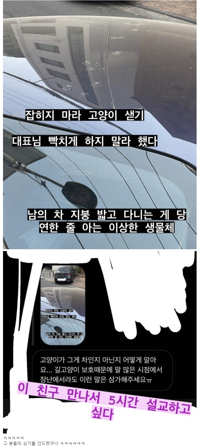 캣맘에게 좌표 찍힌 스윙스 ㄷㄷ